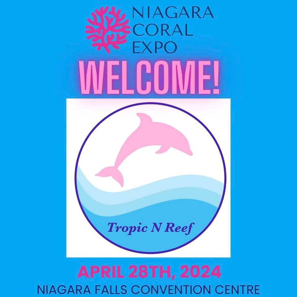 Niagara Corals Expo 2024