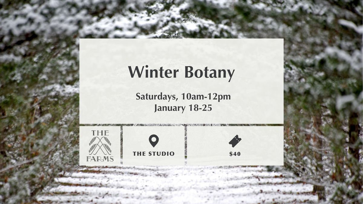 Winter Botany