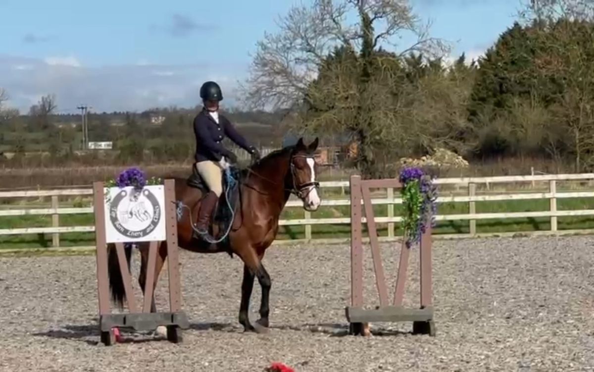 Working Equitation Training Competition