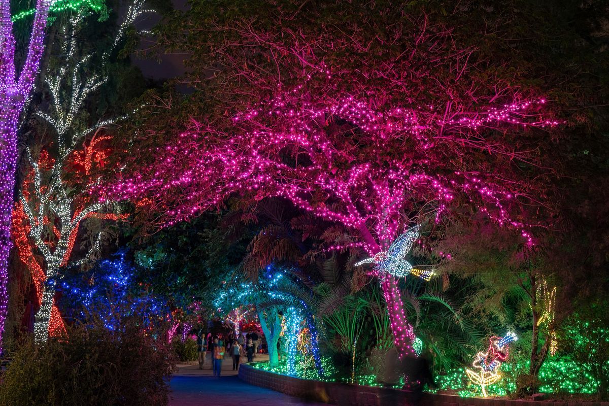 Sensory Friendly ZooLights