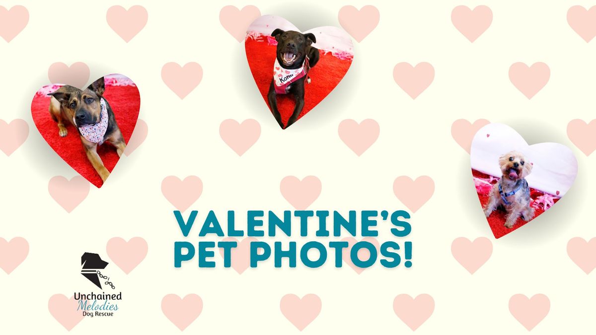 Valentine's Pet Photos benefitting Unchained Melodies Dog Rescue