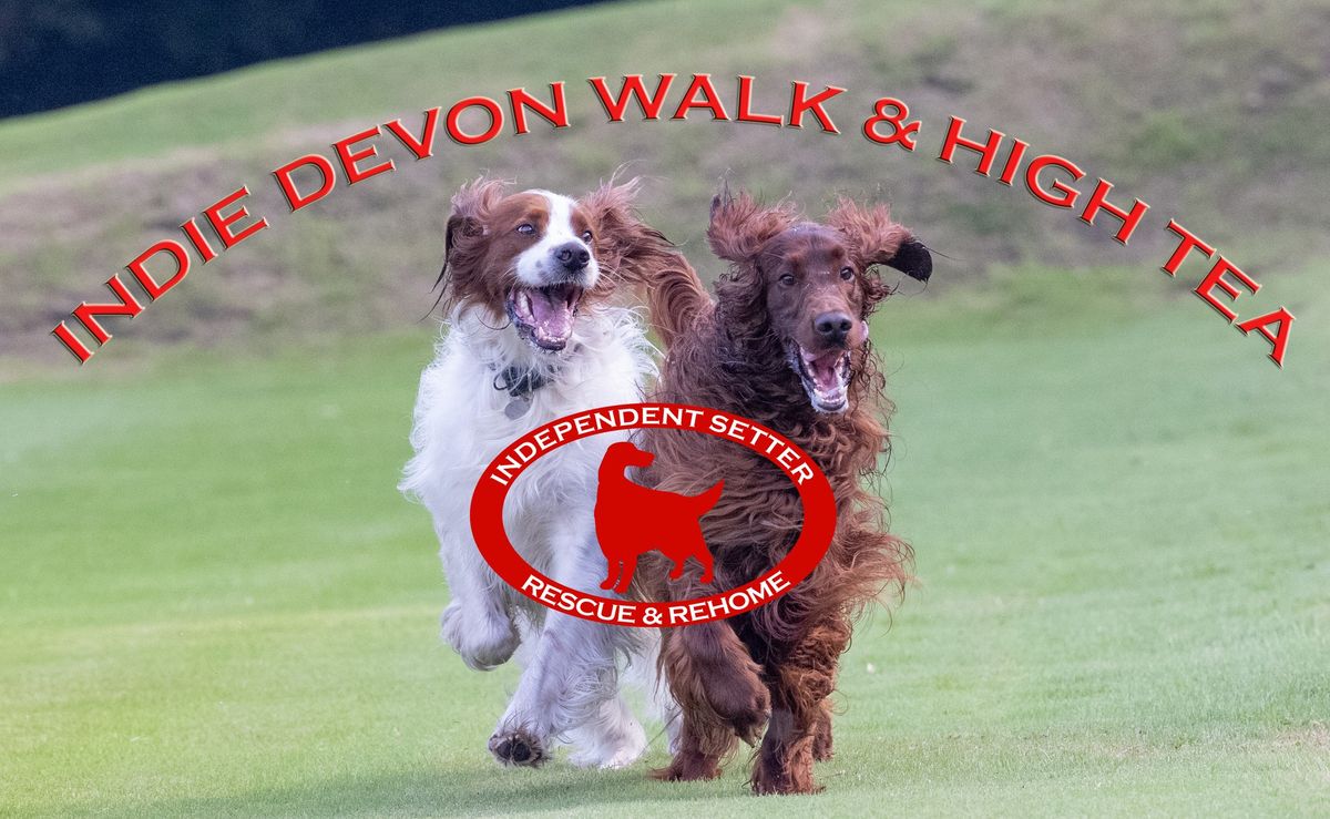 Indie Rescue Devon Walk & High Tea 2024