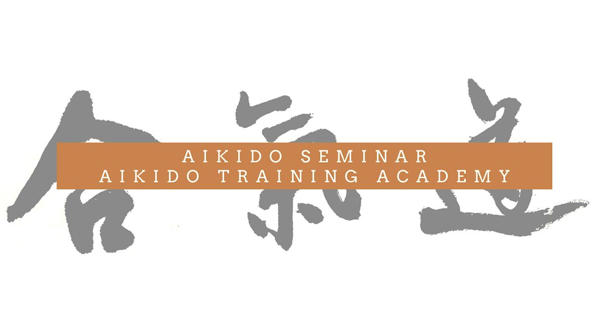 Aikido Seminar at Aikido Training Academy