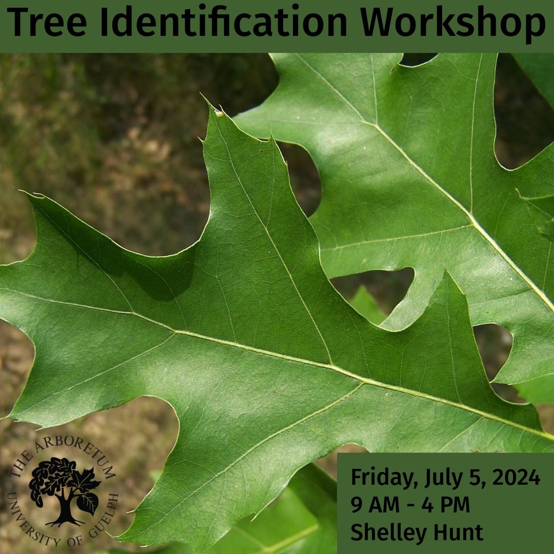 Tree Identification Workshop