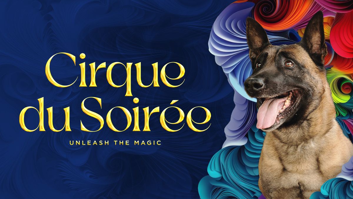 Cirque du Soir\u00e9e: Unleash the Magic for a Safer San Diego