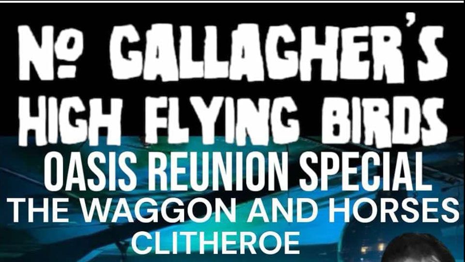 No Gallaghers High Flying Birds