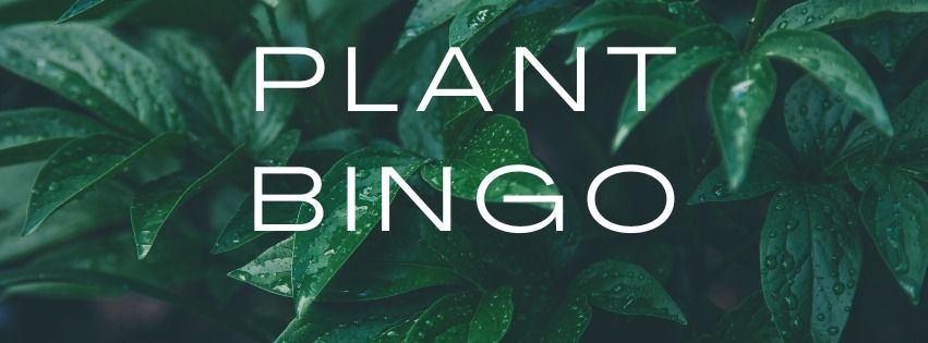 Plant Bingo