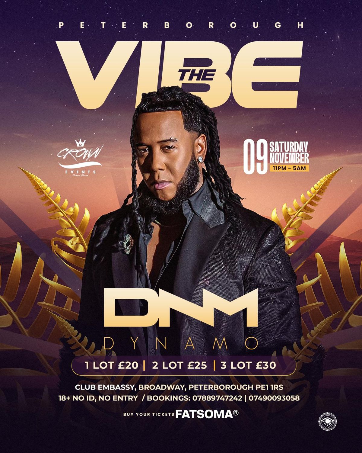 THE VIBE  ( DYNAMO ) Peterborough