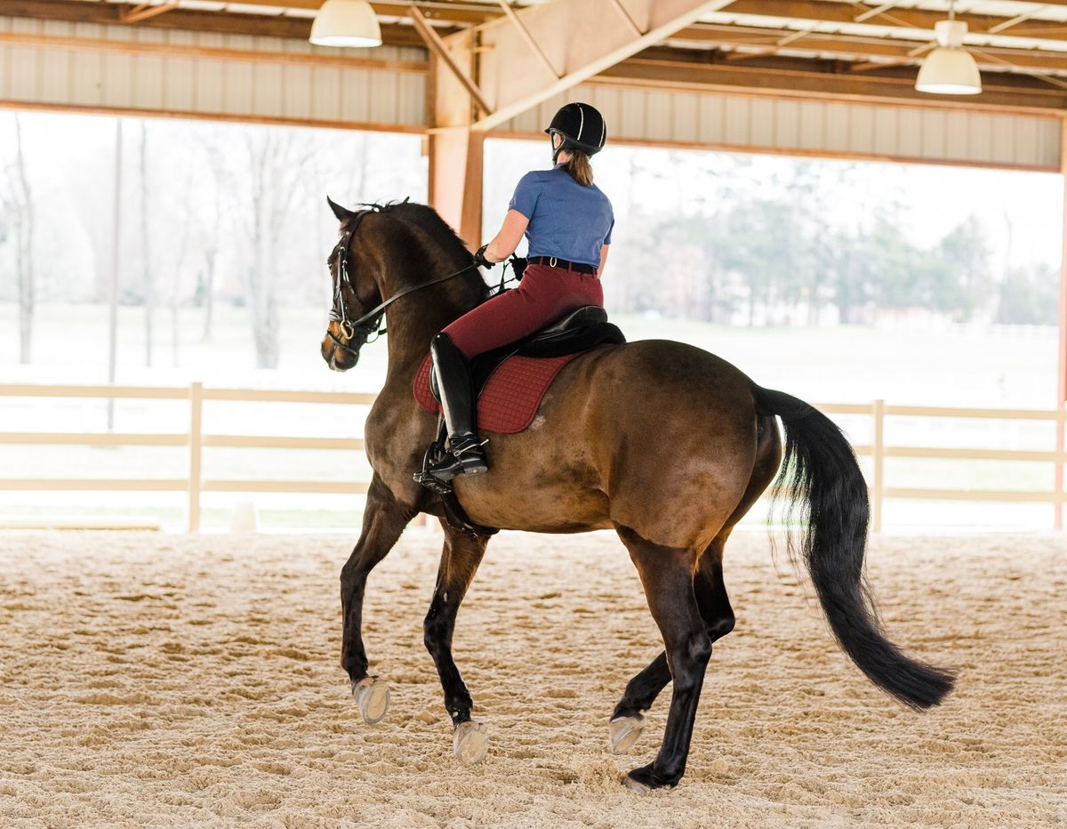 Rider Biomechanics Clinic Mint Hill, NC