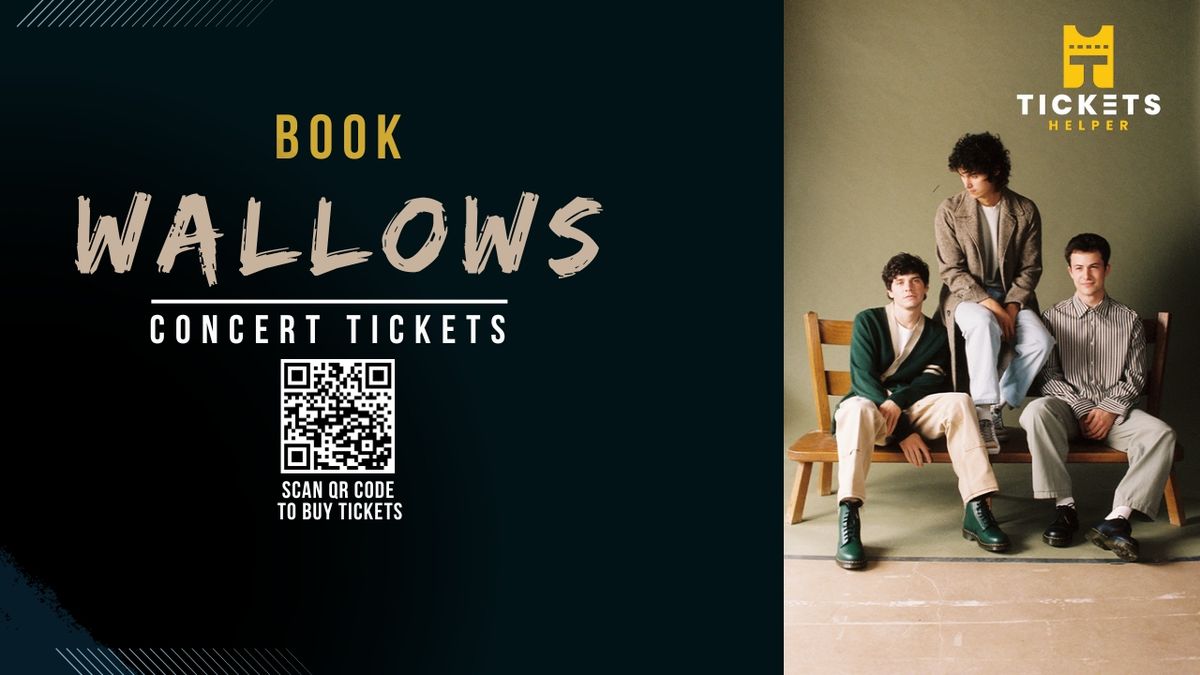 Wallows at Michigan Lottery Amphitheatre at Freedom Hill