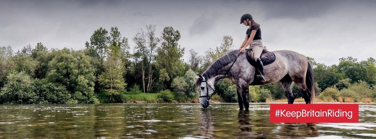 Erik MacKechnie-Guire Flatwork Clinic