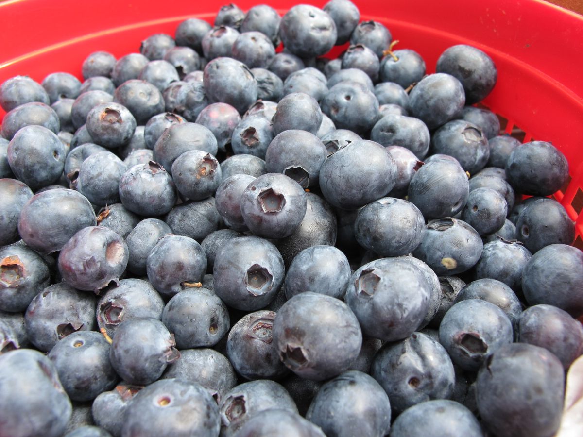 Catawba County Public Health Farmers Market