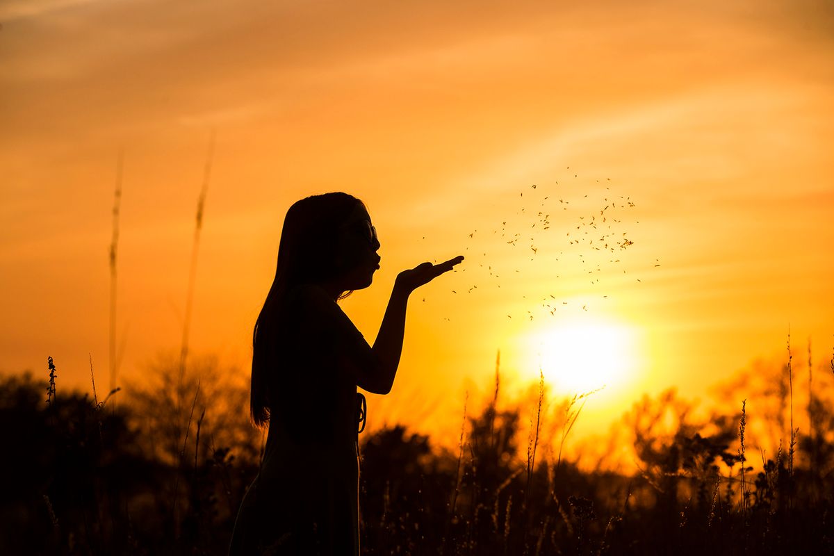 Silhouettes