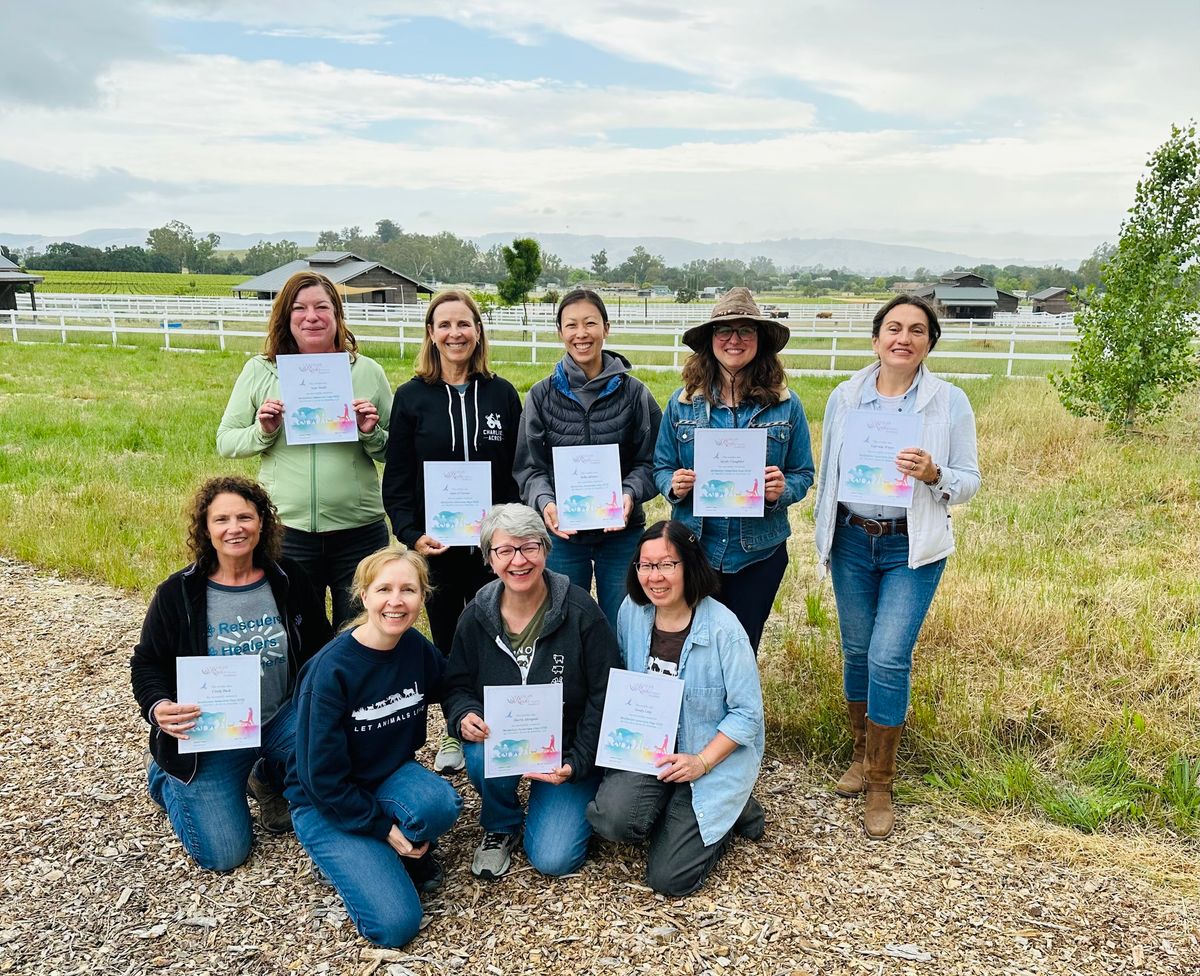 Peace in the Pasture: Meditation Immersion Day at Charlie's Acres in Sonoma, CA