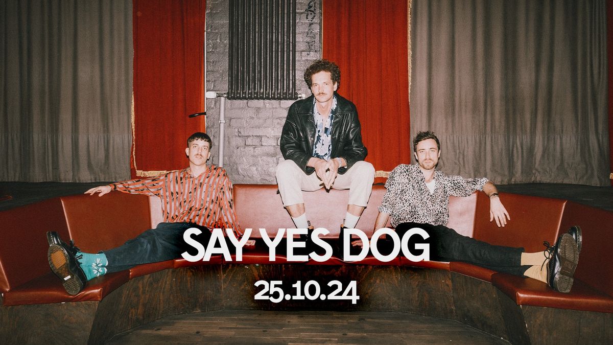 SAY YES DOG | DR\u00c4I ALBUM TOUR 2024 | Kalif Storch - Erfurt