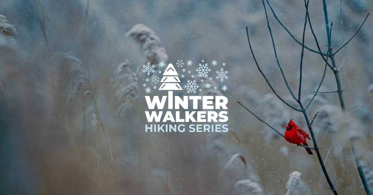 Winter Walkers: Thorn Creek Woods