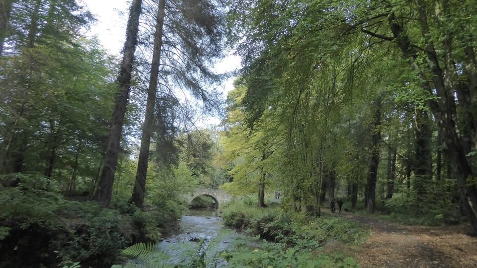 West Fife Woodlands from Culross circular 