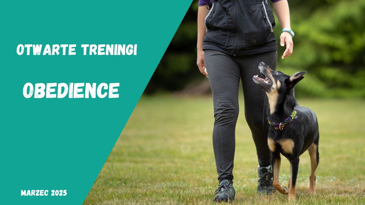 Otwarty trening obedience - praca r\u00f3wnoleg\u0142a