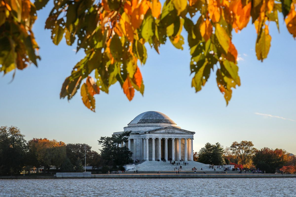 Pop-Up Hub: Washington DC, USA Nov 2024