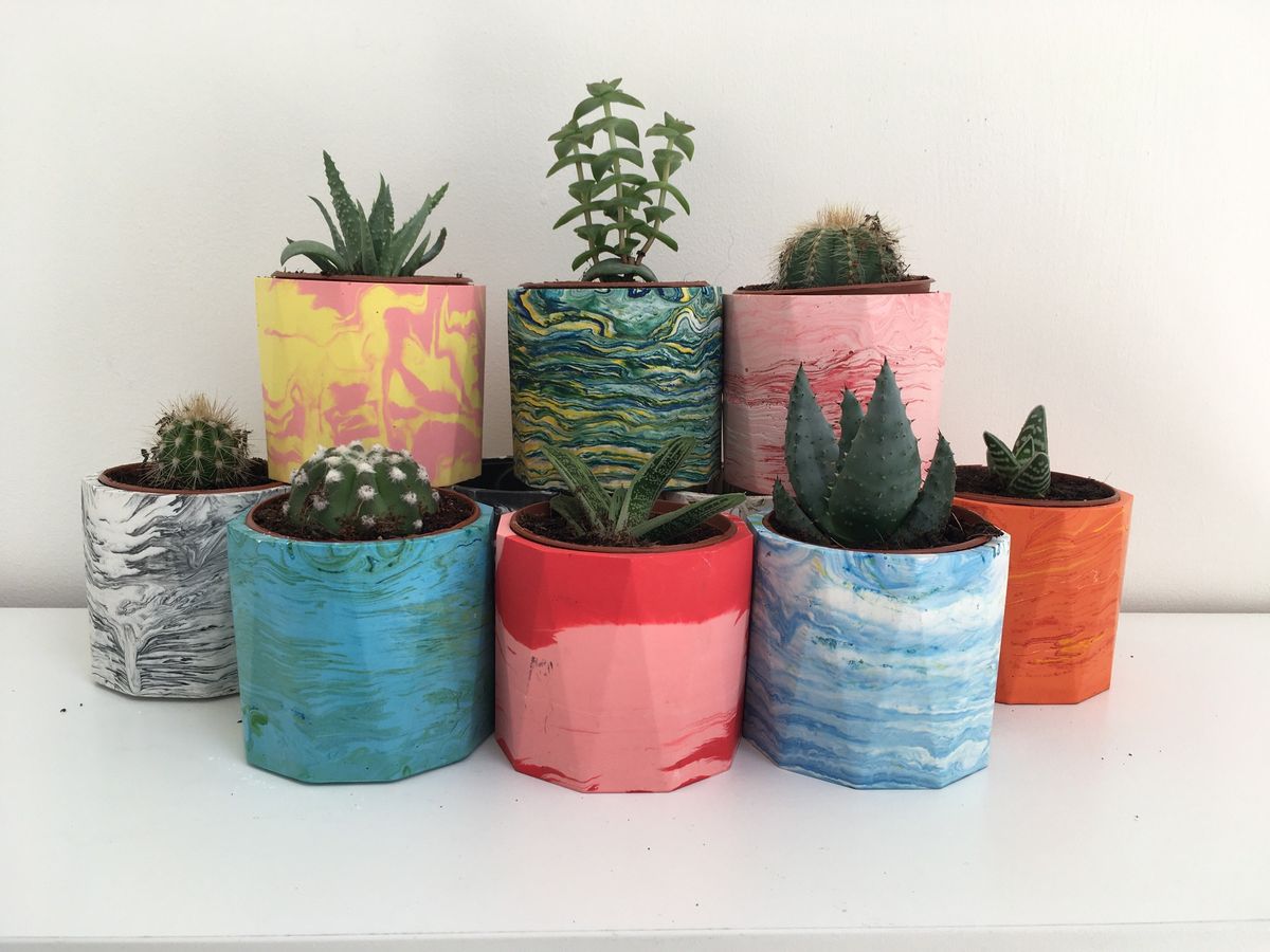 Marbled Plant Pot Workshop + free plant