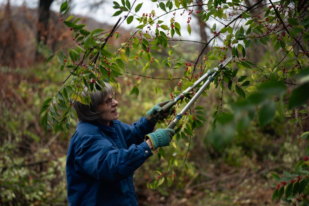 Volunteer Workday: Invasive Plants