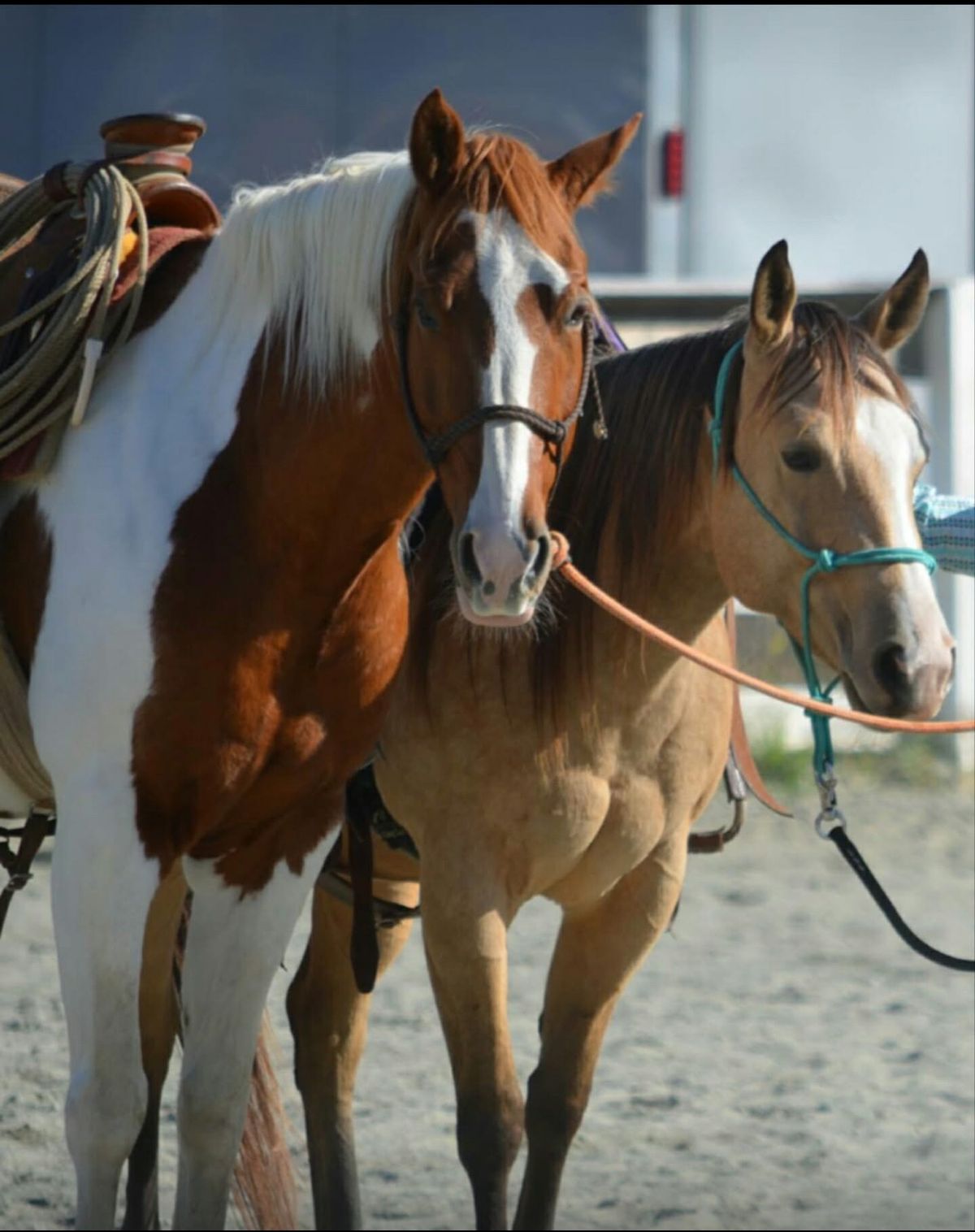 2-day Horsemanship with Jason Drass