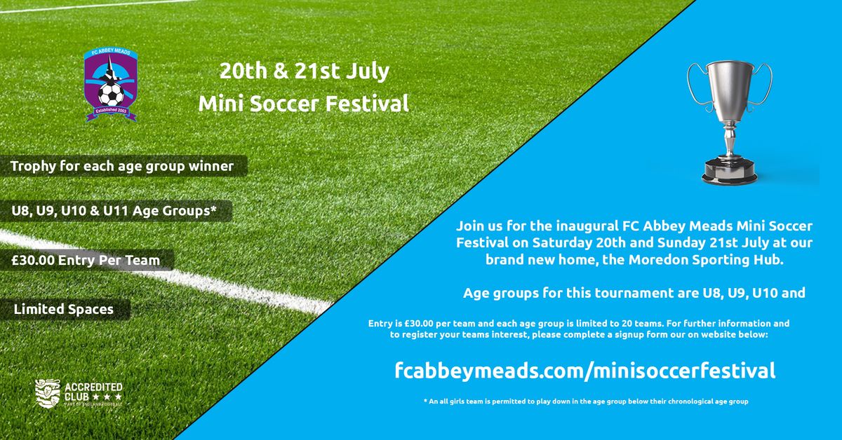 Mini Soccer Festival