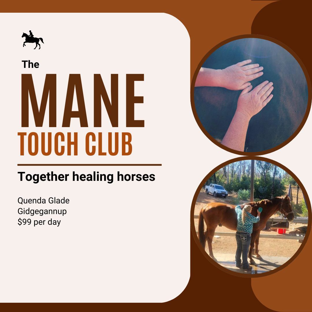 The Mane Touch Club March 1st - Connection 