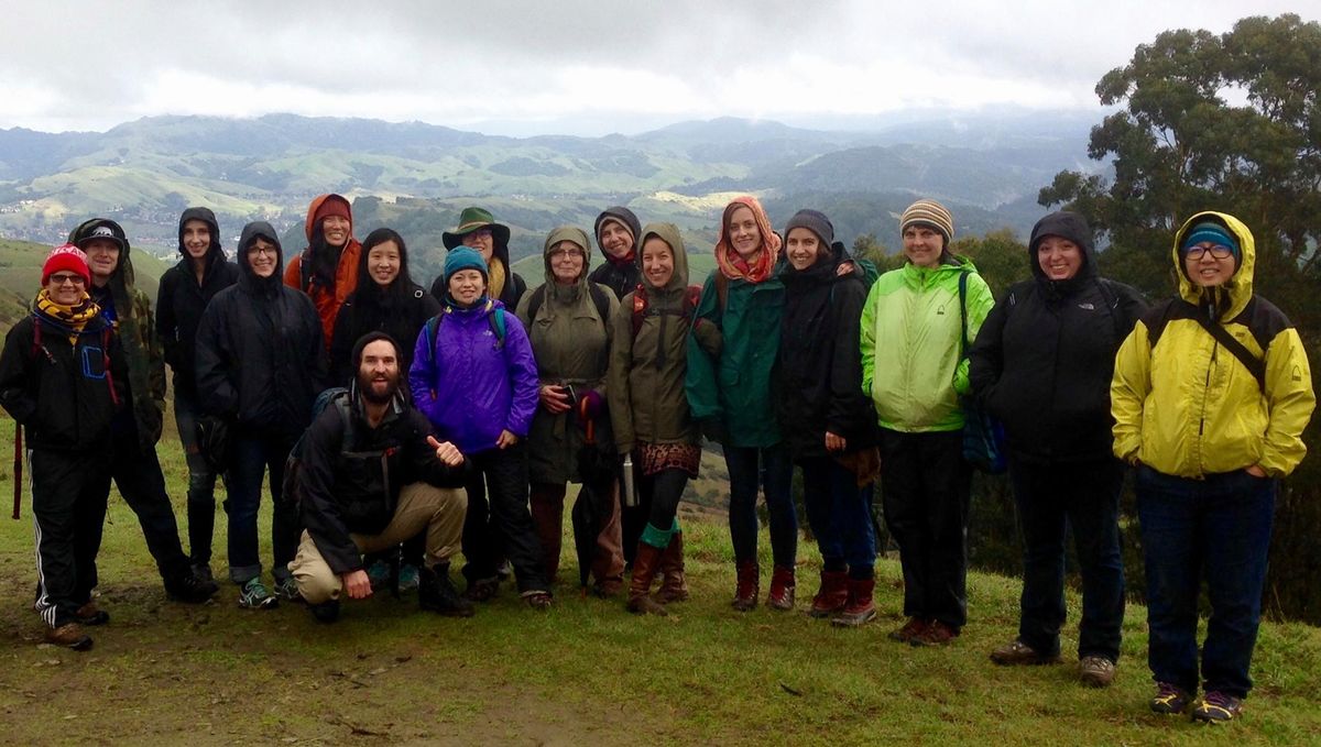 Edible & Medicinal Plants of the Bay Area: Seasonal Herb Walk