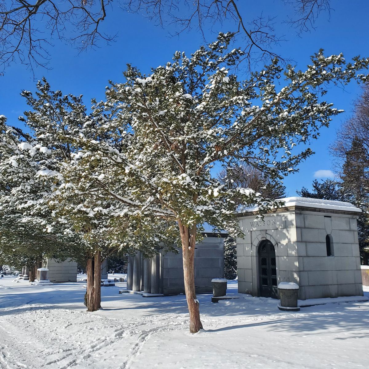 Mount Hope Cemetery Winter Tour