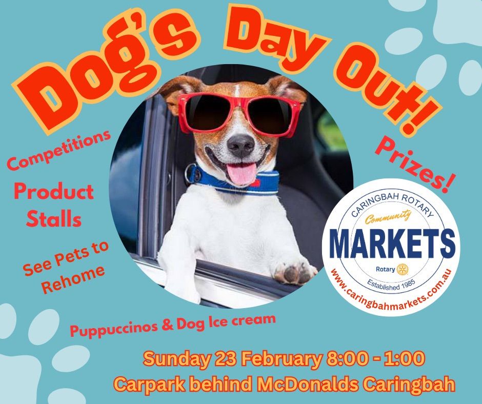 Dog\u2019s Day Out Caringbah Community Markets