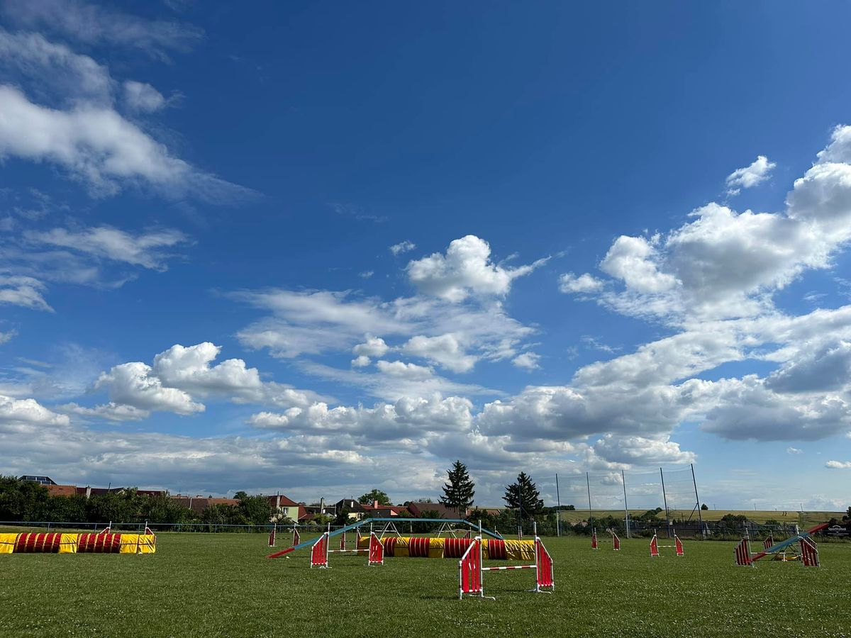 Rally Obedience int. s Dorotou Anderlovou