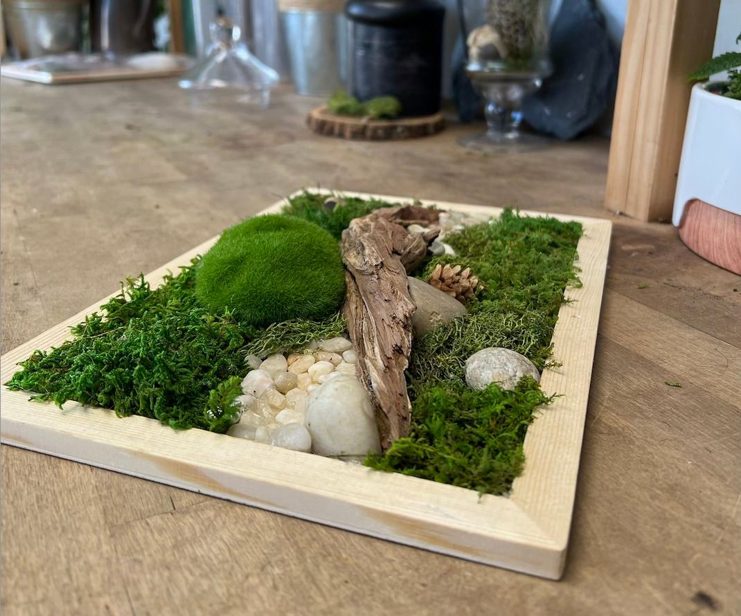 Oddity and Preserved Moss Wall Art Class