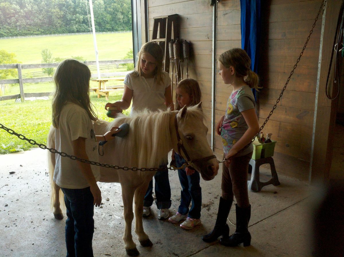 Carroll County Recs and Parks Introductory Horse Riding Lessons