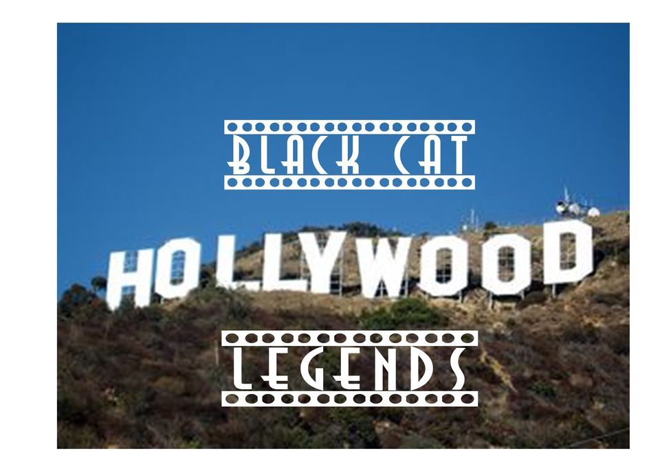 Black Cat Friday Freestyle Hollywood Screen Legend