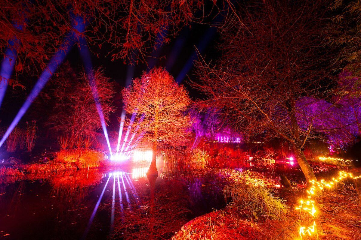 Parking Mamma Mia! - Wilmington