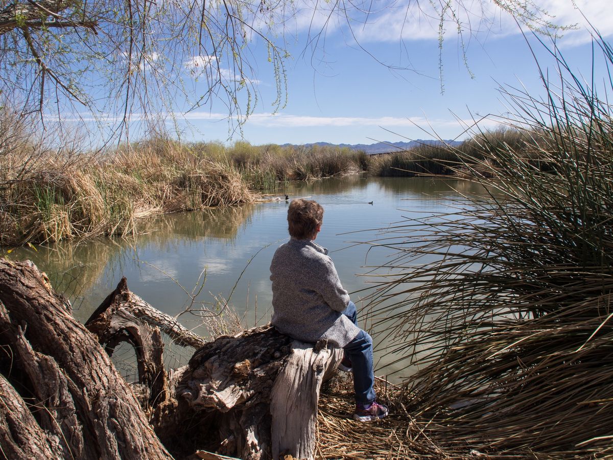 Women's Walk in the Wetlands