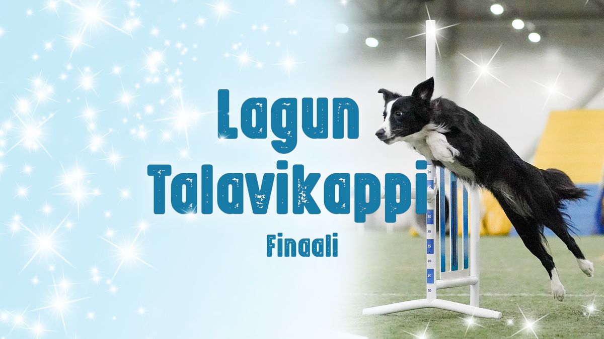 Lagun Talavikappi, finaali ja kinkunsulatusepikset