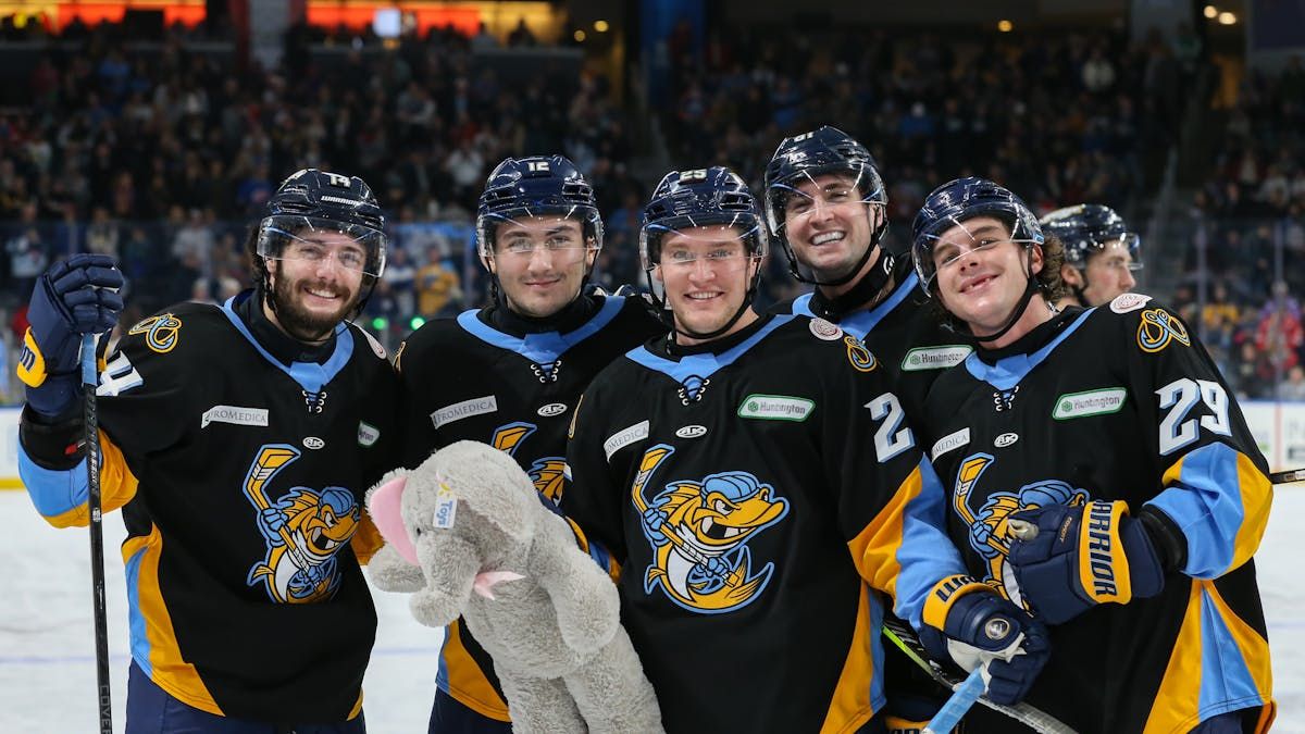 Bloomington Bison at Toledo Walleye