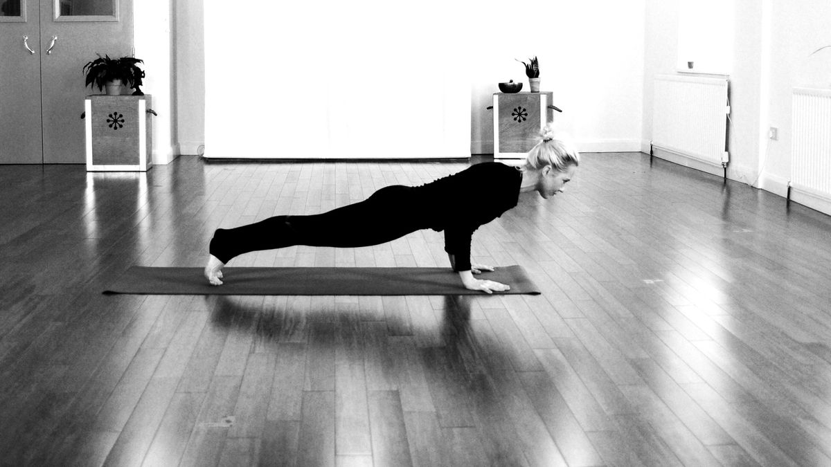 Chaturanga (Updog- Downdog!)