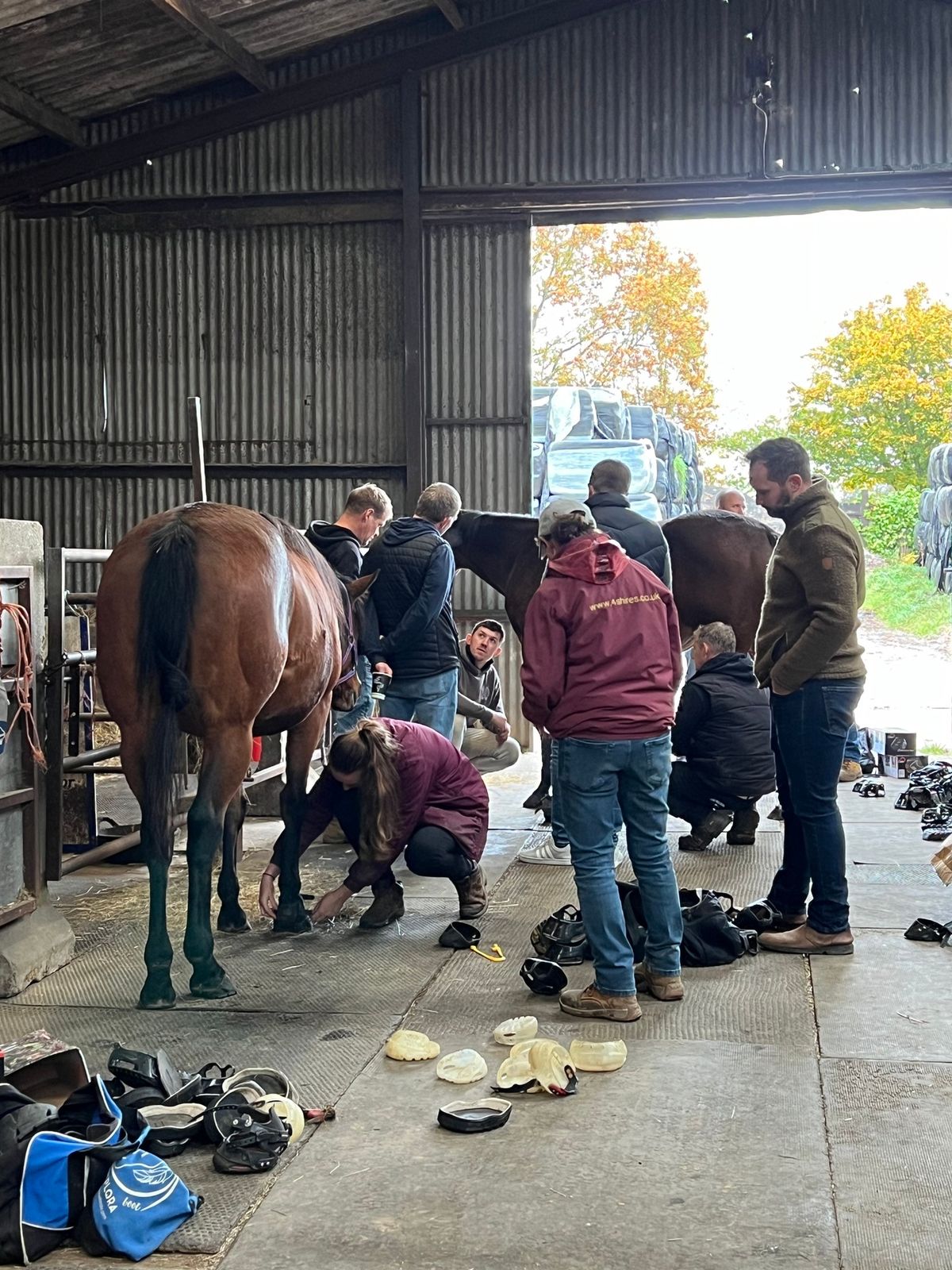 Hoof Boot Fitting Workshop 