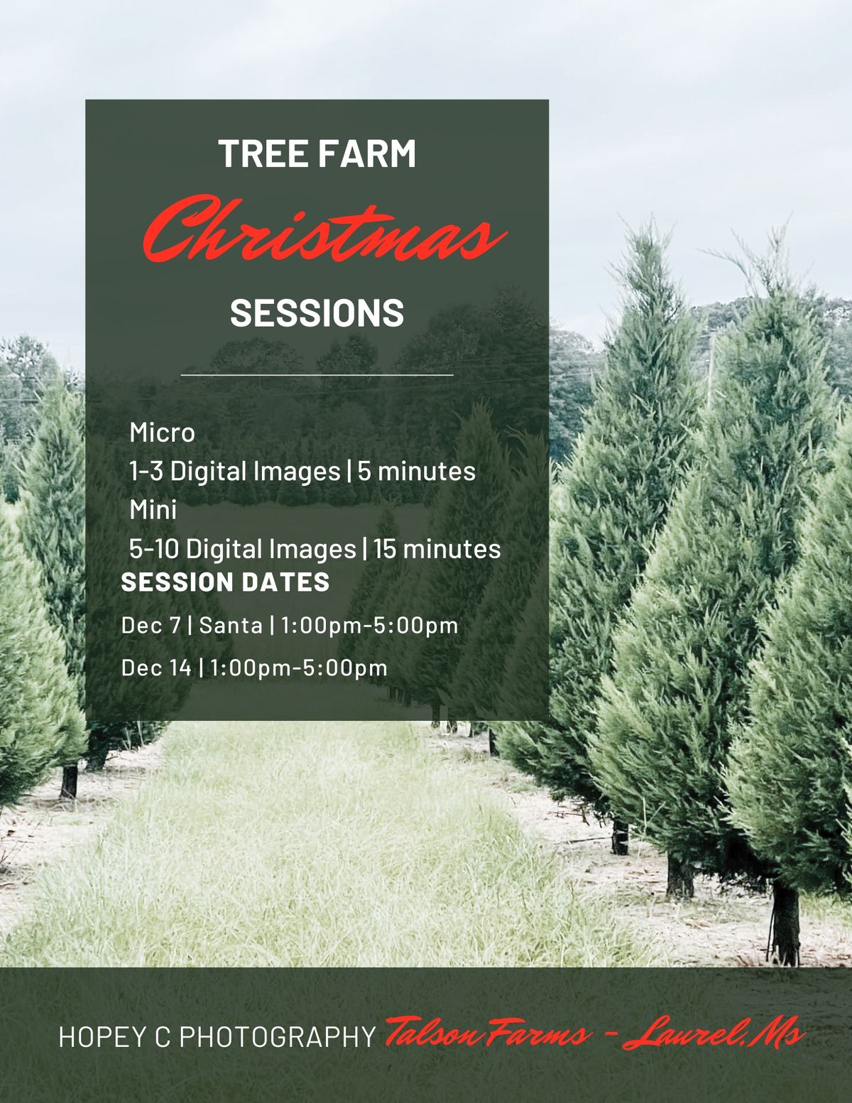 Christmas Tree Farm with Santa 