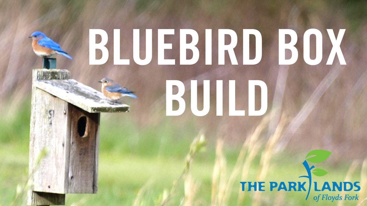 Bluebird Box Build