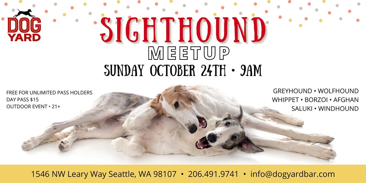 Sighthound Meetup at the Dog Yard in Ballard