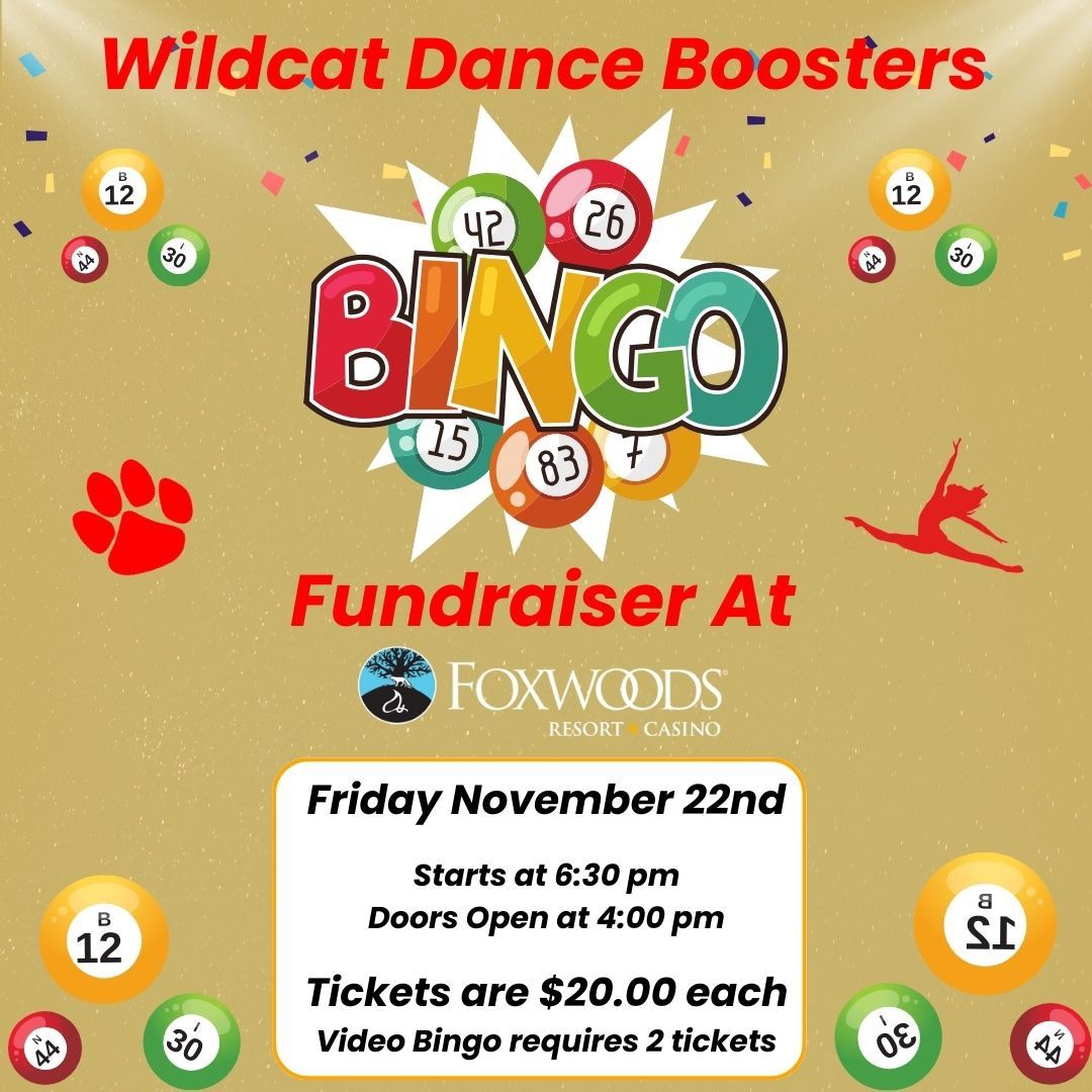 Bingo Fundraiser