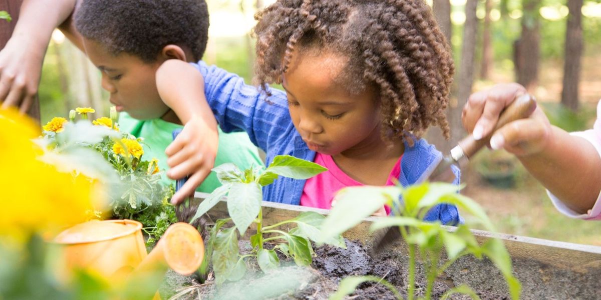 October School Holiday-Spring Planting for Bees Workshop