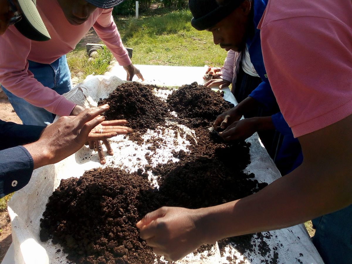 Worm Farming Training 