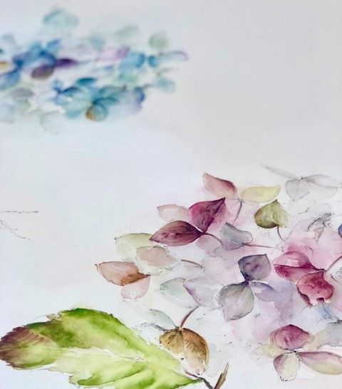 Floral Art Watercolour Class - Autumn \/ Winter colour with Clare Robinson