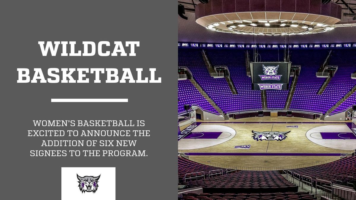 Weber State Wildcats at Montana State Bobcats Womens Volleyball