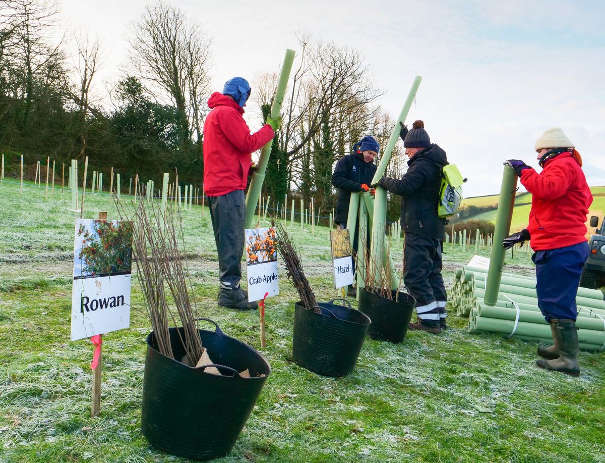 Tree Planting at Penrose 